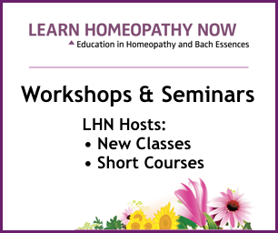 Workshops & Seminars